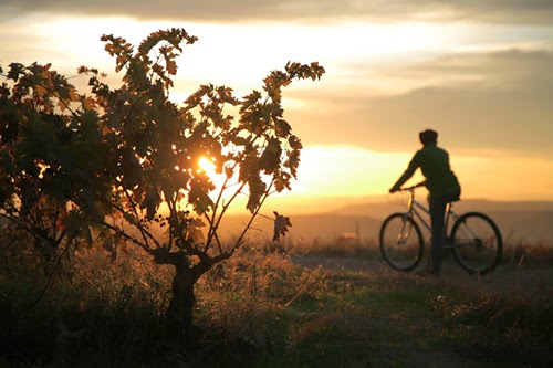 9e5ae-Bicicleta-btt-atardecer-en-la-rioja